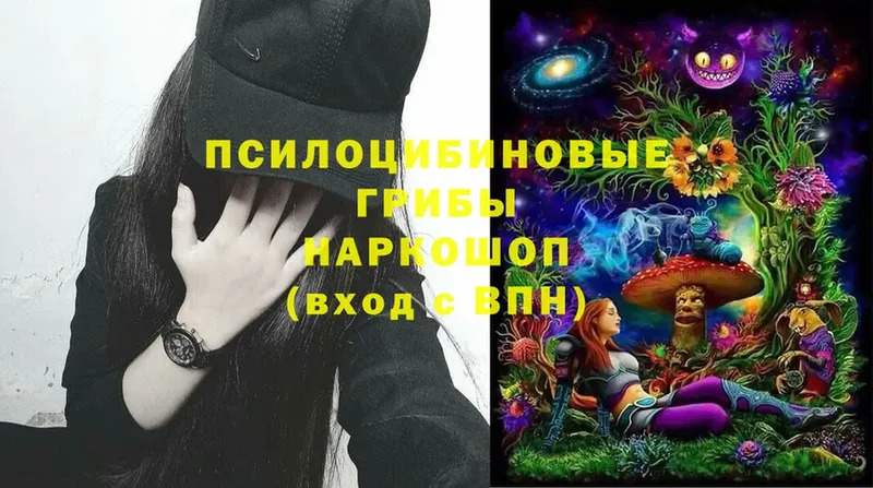 Галлюциногенные грибы Magic Shrooms  как найти   Красавино 